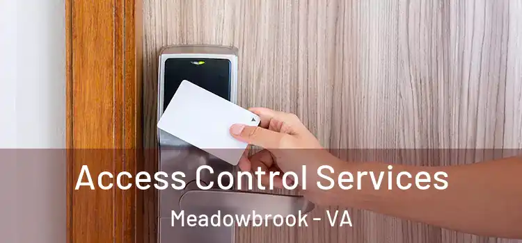  Access Control Services Meadowbrook - VA