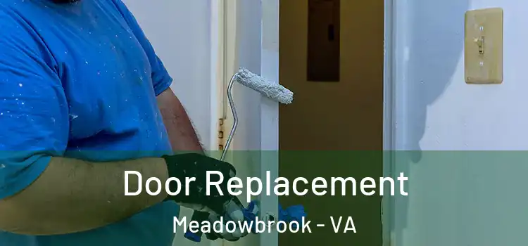  Door Replacement Meadowbrook - VA