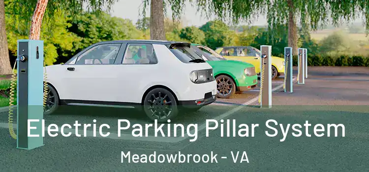  Electric Parking Pillar System Meadowbrook - VA