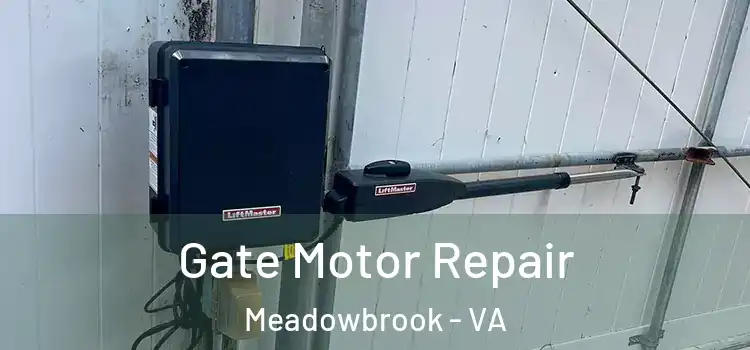 Gate Motor Repair Meadowbrook - VA