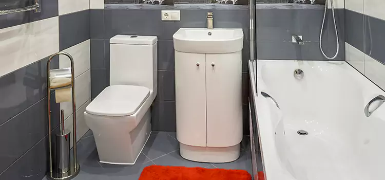 Hansgrohe Shaving Mirror Meadowbrook