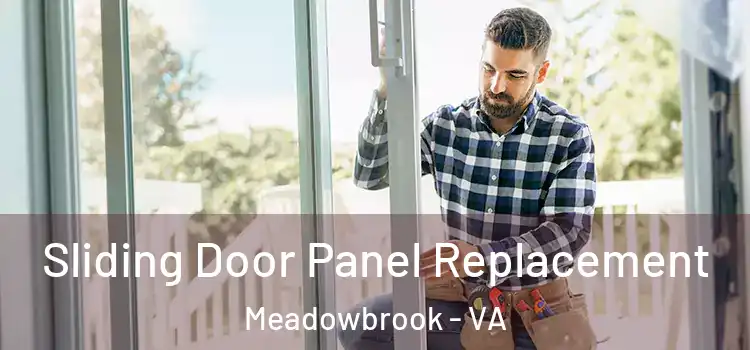  Sliding Door Panel Replacement Meadowbrook - VA