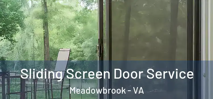 Sliding Screen Door Service Meadowbrook - VA